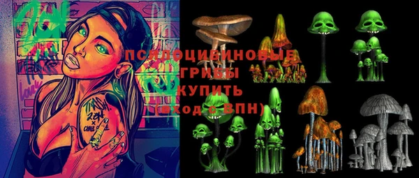 мдпв Горно-Алтайск