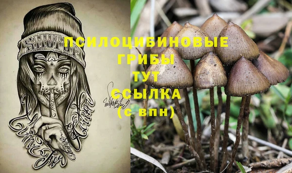 прущая мука Горнозаводск
